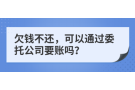 芜湖为什么选择专业追讨公司来处理您的债务纠纷？